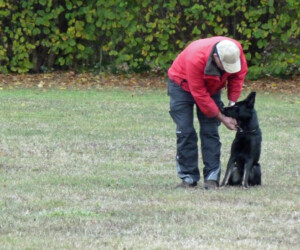 Foto: Stefan Lehnert