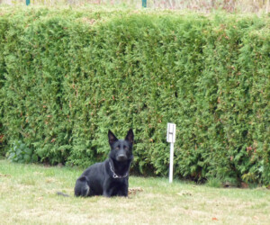 Foto: Stefan Lehnert