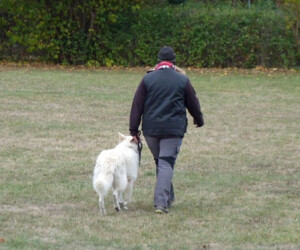 Foto: Stefan Lehnert