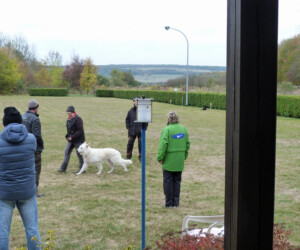 Foto: Stefan Lehnert