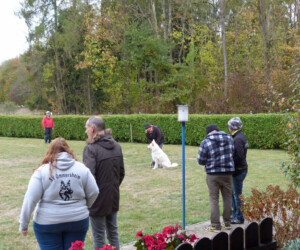 Foto: Stefan Lehnert