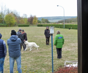 Foto: Stefan Lehnert