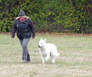 Foto: Stefan Lehnert