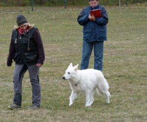 Foto: Stefan Lehnert