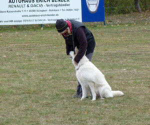 Foto: Stefan Lehnert