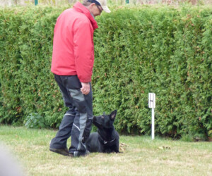 Foto: Stefan Lehnert