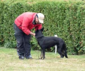 Foto: Stefan Lehnert