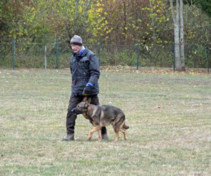 Foto: Stefan Lehnert