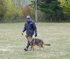 Foto: Stefan Lehnert