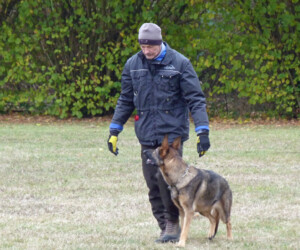 Foto: Stefan Lehnert