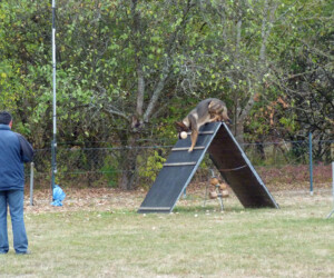 Foto: Stefan Lehnert