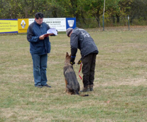 Foto: Stefan Lehnert