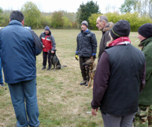 Foto: Stefan Lehnert