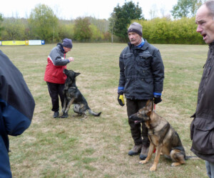 Foto: Stefan Lehnert