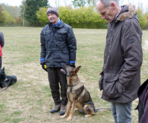 Foto: Stefan Lehnert