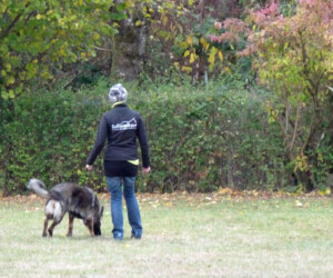 Foto: Stefan Lehnert