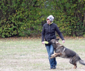 Foto: Stefan Lehnert