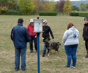 Foto: Stefan Lehnert