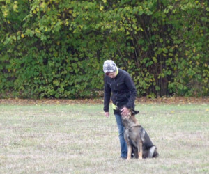 Foto: Stefan Lehnert