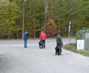 Foto: Stefan Lehnert