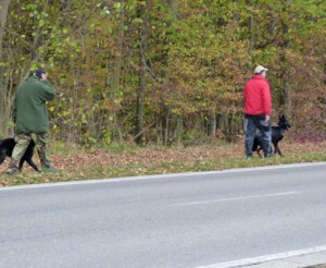 Foto: Stefan Lehnert