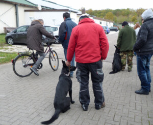 Foto: Stefan Lehnert