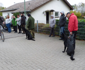 Foto: Stefan Lehnert