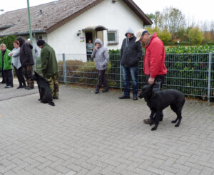 Foto: Stefan Lehnert