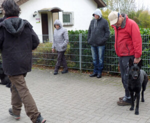 Foto: Stefan Lehnert