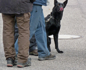 Foto: Stefan Lehnert