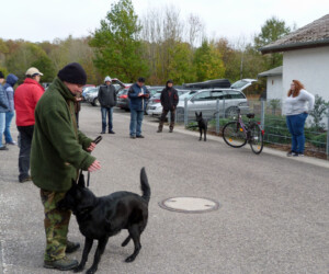 Foto: Stefan Lehnert