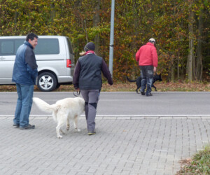 Foto: Stefan Lehnert