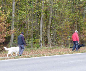 Foto: Stefan Lehnert