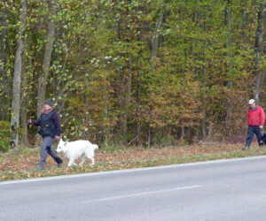 Foto: Stefan Lehnert