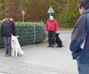 Foto: Stefan Lehnert