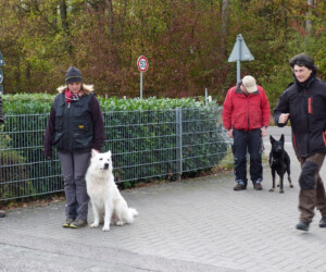 Foto: Stefan Lehnert