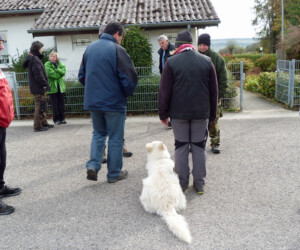 Foto: Stefan Lehnert