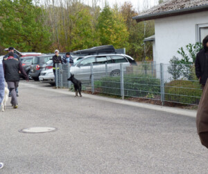 Foto: Stefan Lehnert