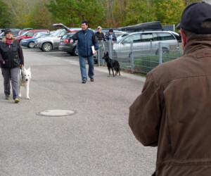 Foto: Stefan Lehnert