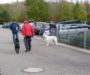 Foto: Stefan Lehnert