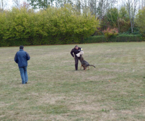 Foto: Stefan Lehnert