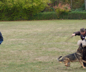 Foto: Stefan Lehnert