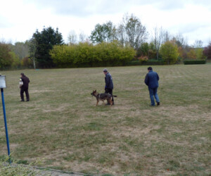 Foto: Stefan Lehnert