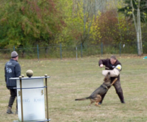 Foto: Stefan Lehnert