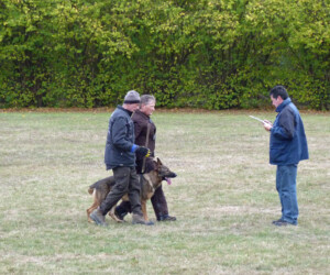 Foto: Stefan Lehnert