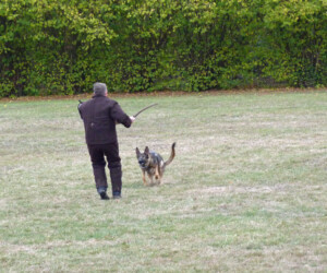 Foto: Stefan Lehnert