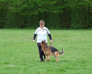 Foto: Karin Lehnert