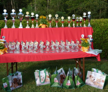 Foto: Stefan Lehnert