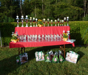 Foto: Stefan Lehnert