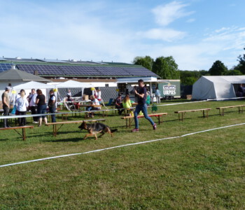 Foto: Stefan Lehnert